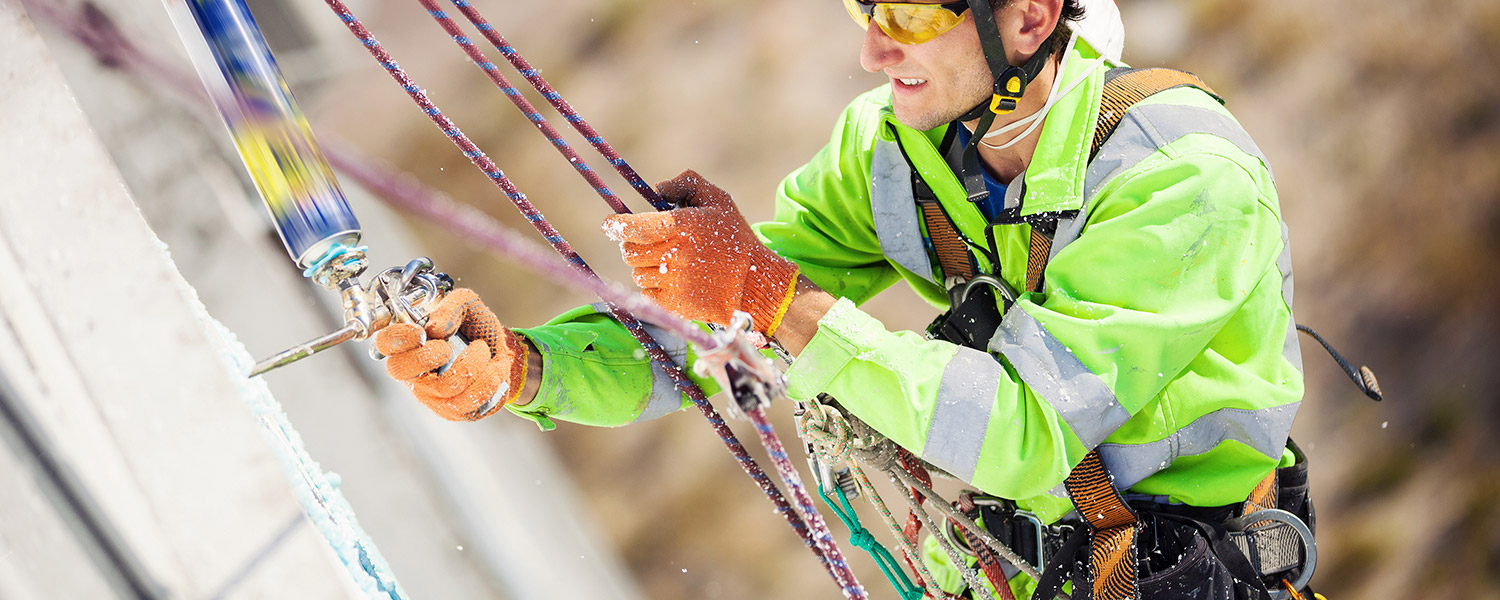 Galería de imágenes